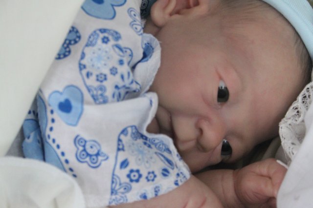 Филипка, кукла реборн Элины Кудрявцевой