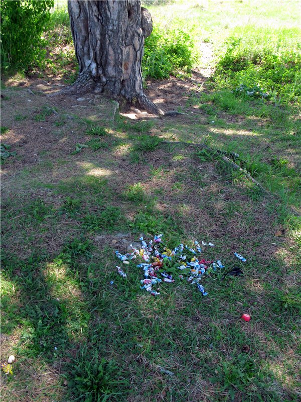 Субботний вояж. Часть первая