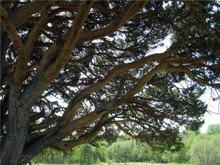 Субботний вояж. Часть первая