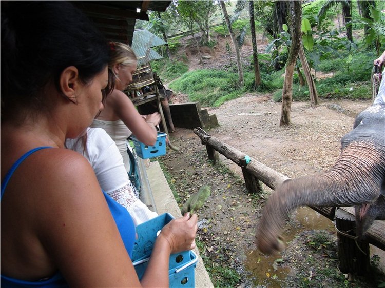 Семь слонов счастья — Туризм и путешествия: фотоотчеты из поездок