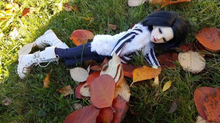 И снова Дим — Куклы DIM (Doll in Mind): корейские BJD (БЖД) (фото 3)