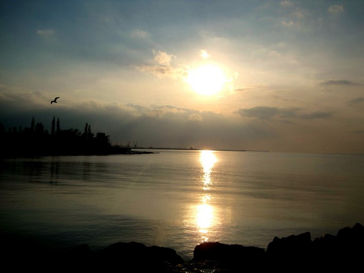 Путешествие к морю. Коллекционная кукла Фрося. Flori, Rolanda Heimer, Schildkrot