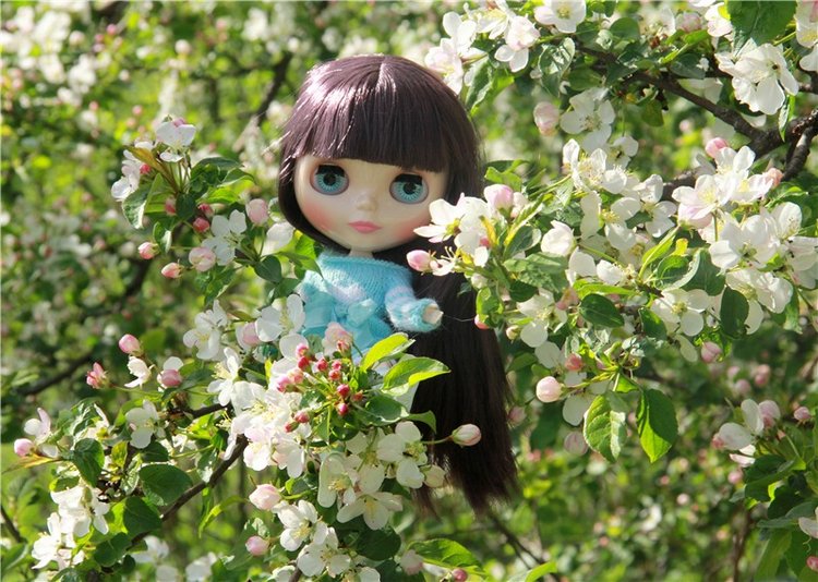 Блайзочки на природе — Оригинальные куклы Blythe (Блайз): Takara (фото 8)
