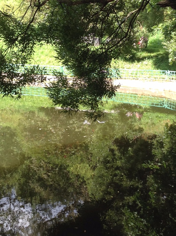 "Есть на Москве места такие..." ч.2. Тайны Коломенского оврага