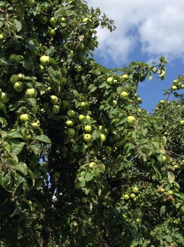 "Есть на Москве места такие..." ч.2. Тайны Коломенского оврага