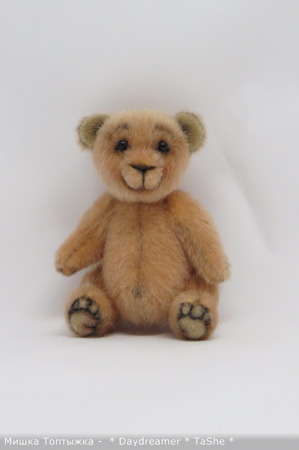 Позитивный мишка по имени Топтыжка