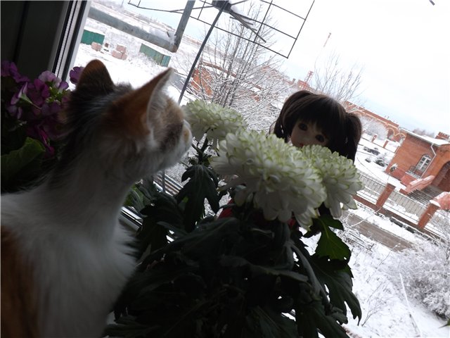 Красавица-Элин,девочка принцесса (фото 7)