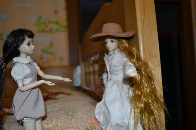 Что делают куклы, когда нас нет... (Коллекция J-dolls)