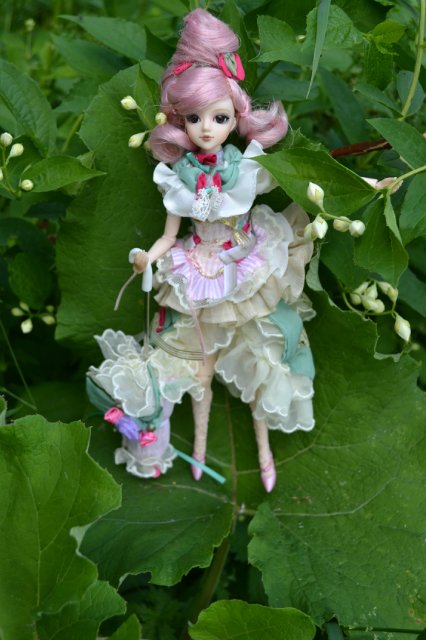 Девушка-пион: джеечка La Rue de Rivoli (J-doll)