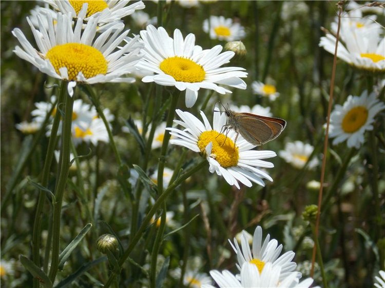 Город детства - Аша — Туризм и путешествия: фотоотчеты из поездок (фото 7)