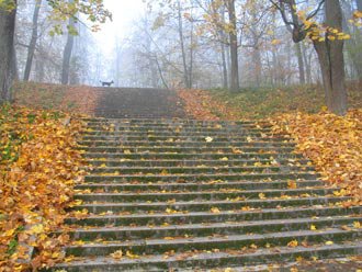 Здесь был Вася… Вандалы против музеев (фото 4)