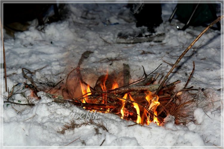 12 месяцев, или как Тамира за подснежниками ходила )