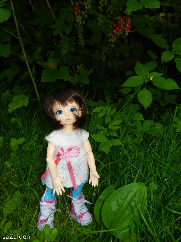 Варвара путешевственница (Литтлфи Анте) (фото 4)