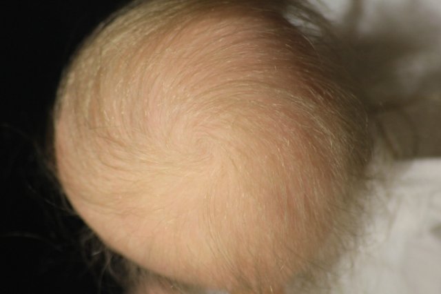 Кукла реборн мини Офелькин | Бэйбики Кукла реборн мини Офелькин