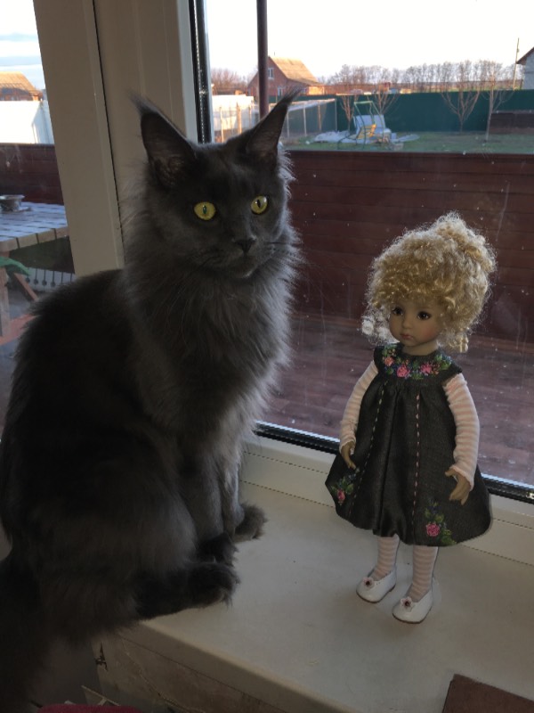 Весна - время обновления — Куклы Dianna Effner (Эффнер) из винила: Little Darling