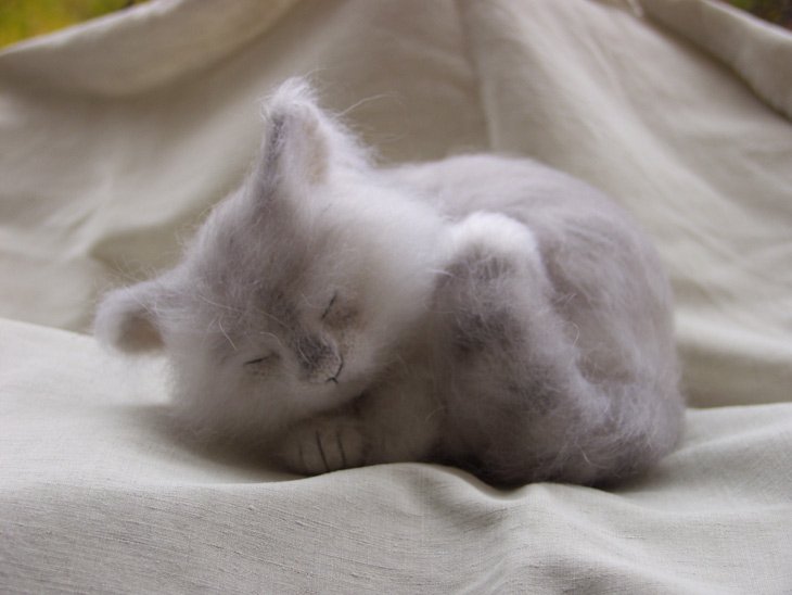 Ты откуда появился маленький