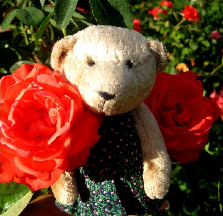 Лето. Солнце. Море. Где побывали! Что повидали! Часть 3