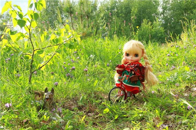 Путешествие в Сказку — Оригинальные куклы Blythe (Блайз): Takara