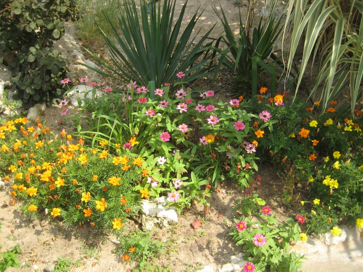 Вот такая вот Болгария — Туризм и путешествия: фотоотчеты из поездок