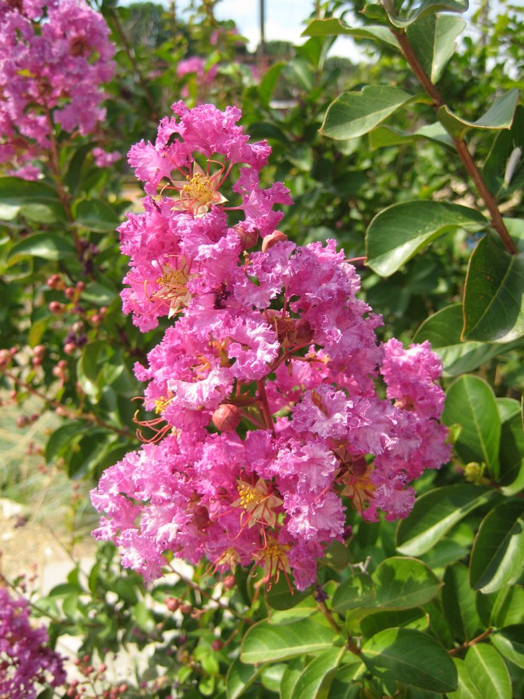 Вот такая вот Болгария — Туризм и путешествия: фотоотчеты из поездок