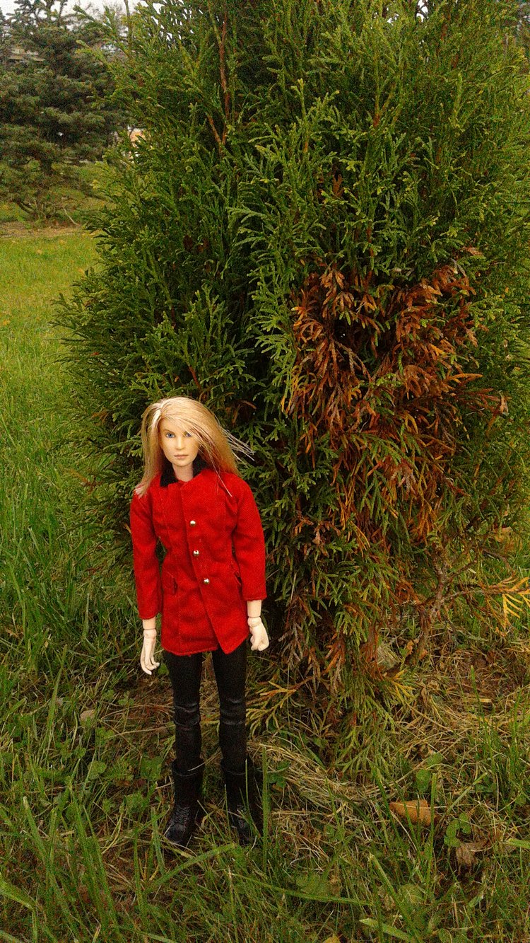 Зимнее солнце. Глава 6. Дом там, где сердце