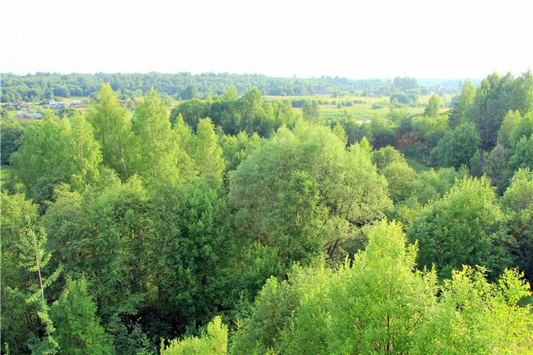 Тверской Водопад — Туризм и путешествия: фотоотчеты из поездок