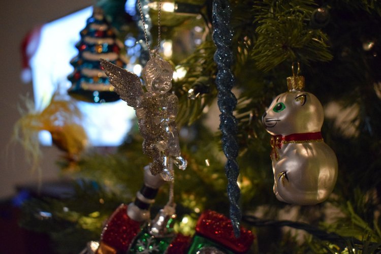 Болталка и разговоры обо всем: жизнь