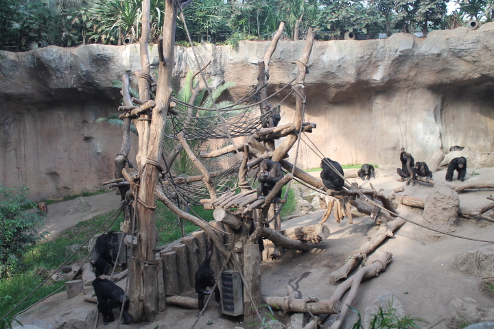 По Германии: зоопарк Лейпцига, часть 1