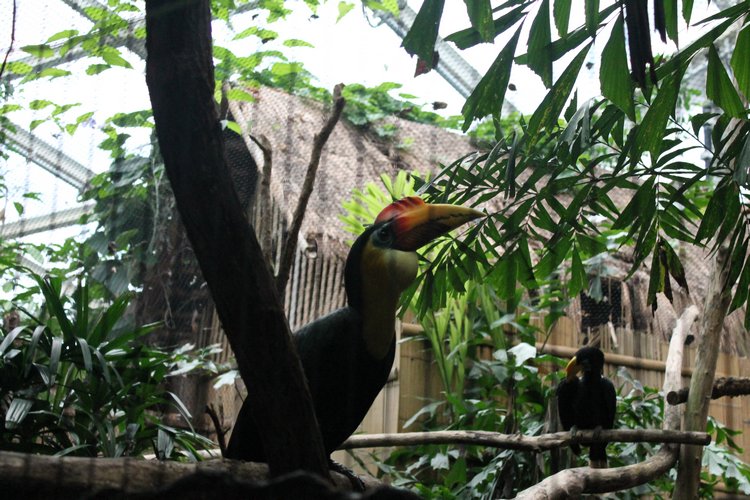 По Германии: зоопарк Лейпцига, часть 2