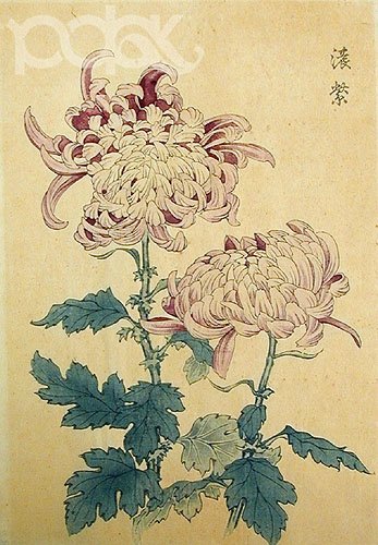 По ком звонит колокол — Культура