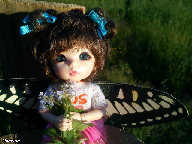 Манюнькино лето-3 (Повелительница Ветров). PukiFee Ante (фото 3)