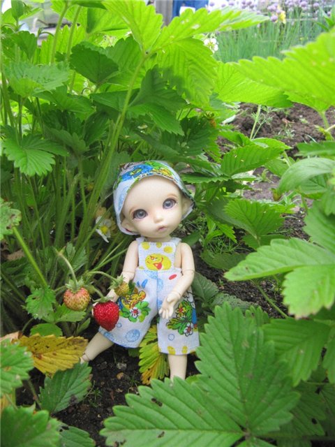 Воспоминания о лете. Куклы БЖД | Бэйбики Воспоминания о лете. Куклы БЖД (фото 3)