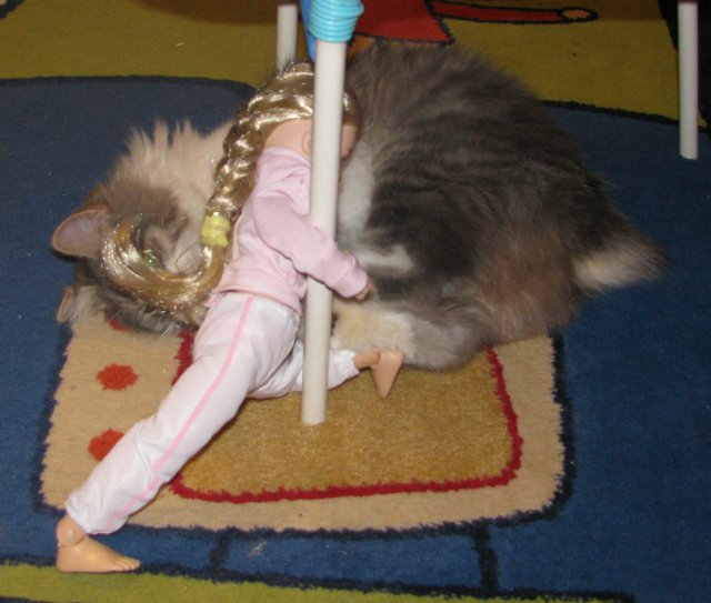 Звездные войны, эпизод десятый: Куклы против котов (фото 2)