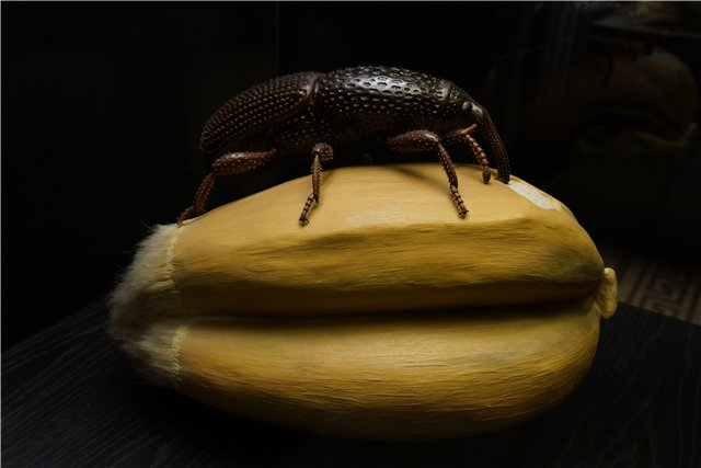 Взятие Берлина. Часть 3. Аква-дом, Улыбка бегемота и Прототип куколок Шильдкрот