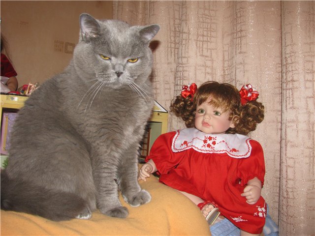 Рождественская Адора — Куклы Adora (Адора): коллекционные виниловые