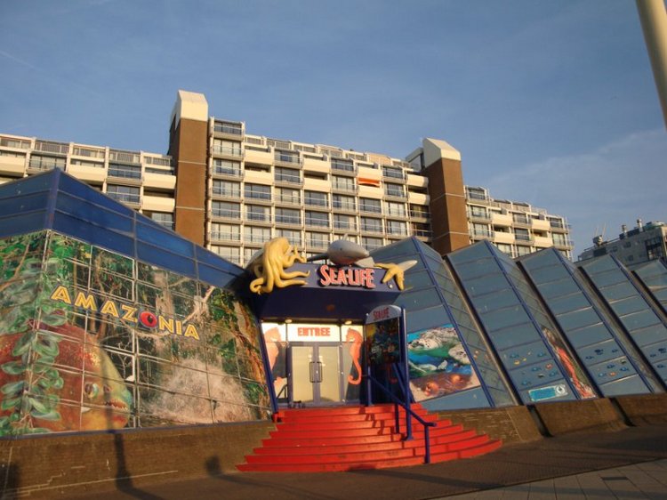 Путешествие по Схевенингену (Scheveningen, Holland)