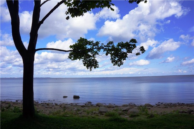 Слышу, как бьётся сердце улитки… (Марта от Connie Lowe в Петергофе) (фото 2)