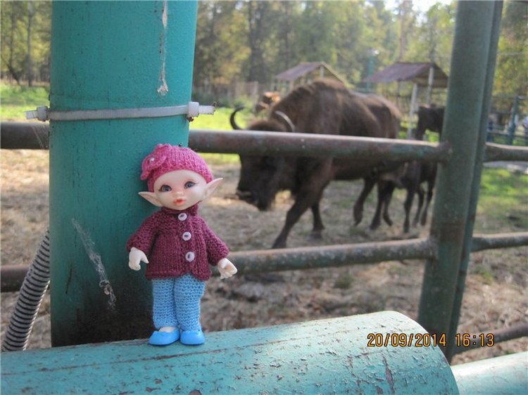 Давайте знакомиться! Мусенька - Realpuki Kaka Basic;)