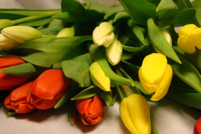 Кто-то весенний. Авторская игрушка Ольги Чернухо