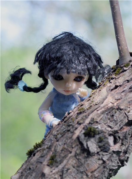 Ленси на даче и дома — Худжики (фото 4)