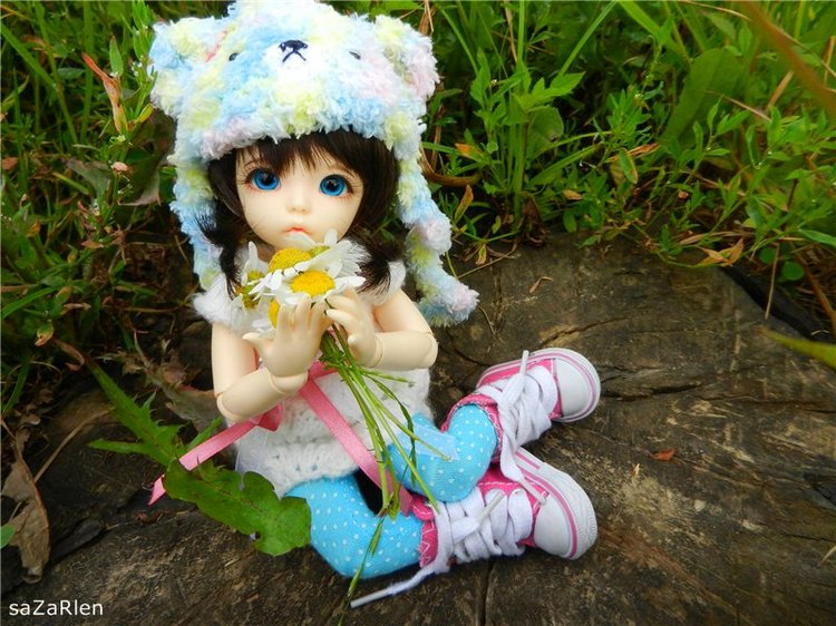 Варвара путешевственница (Литтлфи Анте)