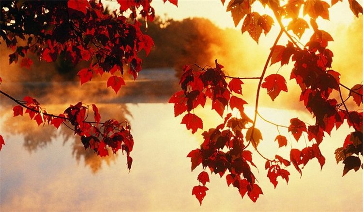 Без восьми осень | Бэйбики Без восьми осень — Куклы Paola Reina (Паола Рейна): новинки (фото 4)