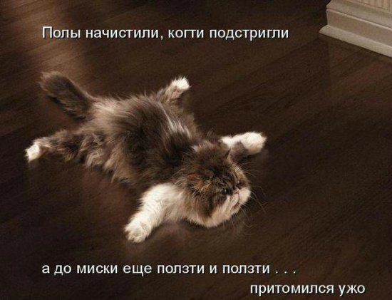 Просто добавь улыбку или пятничный девиз