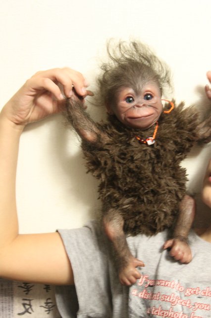 Обезьянка Bindi кукла реборн Элины Кудрявцевой