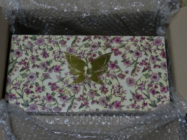 У нас сегодня Метель Souldoll Little Metel (фото 2)