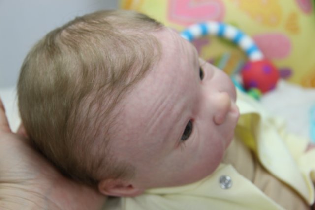 Софийкин! Кукленок реборн Виктории Вишни (фото 2)