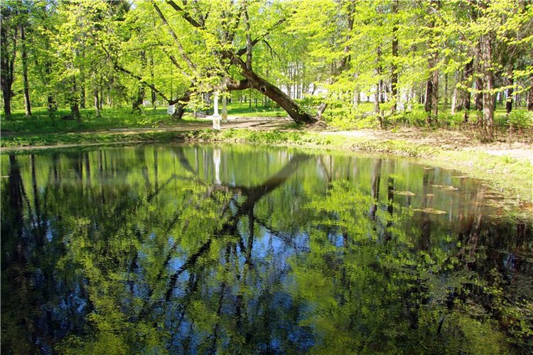 Субботний вояж. Часть вторая | Бэйбики Субботний вояж. Часть вторая