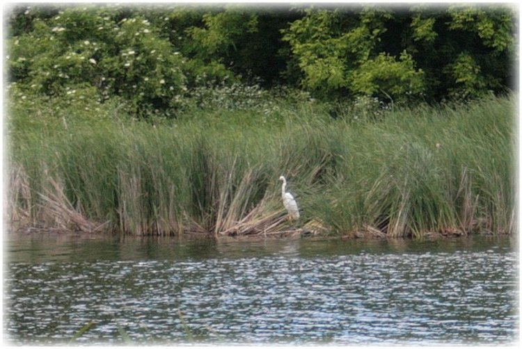 Из жизни маленькой банды, детки Gabriele Müller