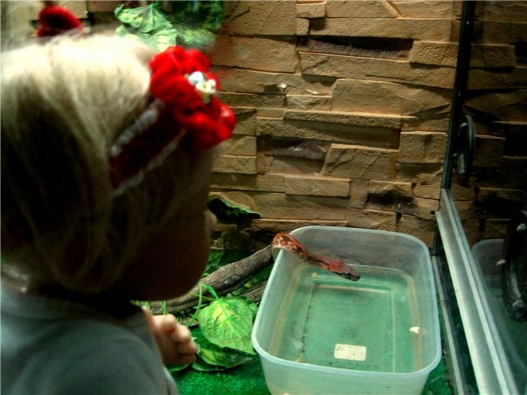 Лето. Солнце. Море. Всё смешалось - звери, куклы. Часть2 | Бэйбики Лето. Солнце. Море. Всё смешалось - звери, куклы. Часть2