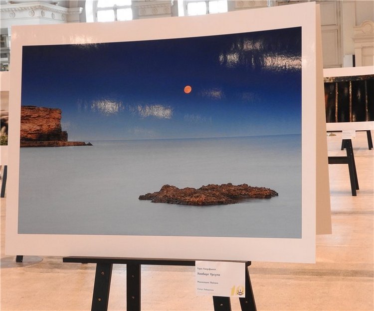 Любителям фотографий: Фестиваль дикой природы «Золотая черепаха»